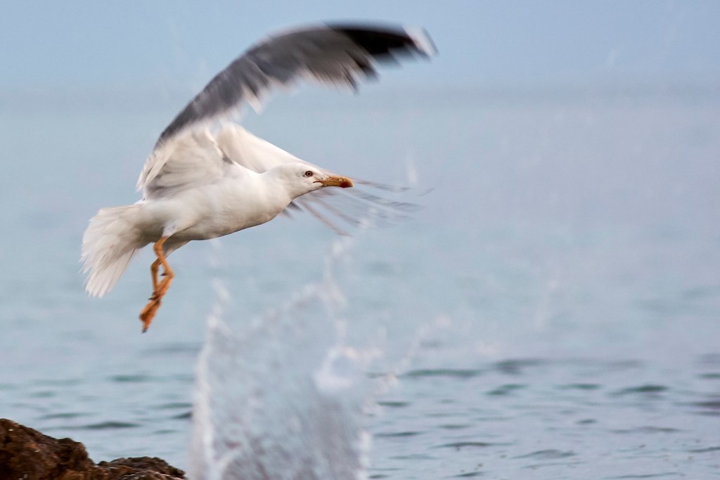 Belichtungsprogramme oder: Programmieren tut der&nbsp;Body