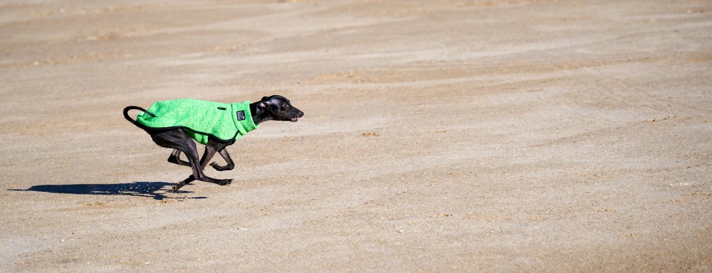 Regeln! – Regeln&nbsp;brechen?